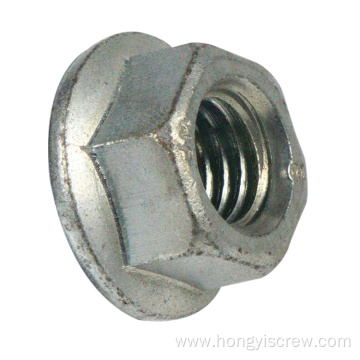 Hex Nut Flange Head Nut M12 DIN 6923